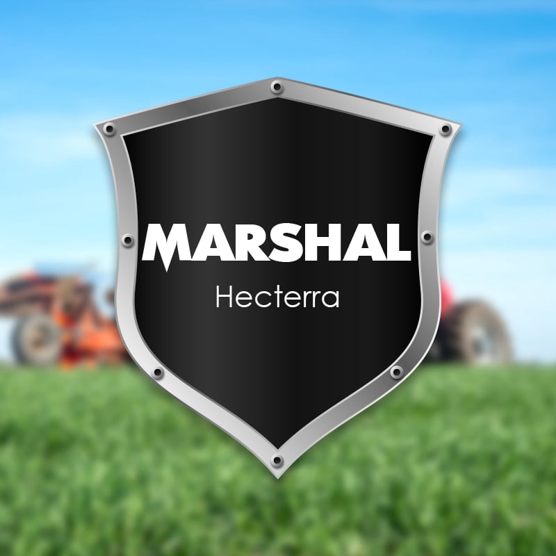 MARSHAL Logistics | NG Technology